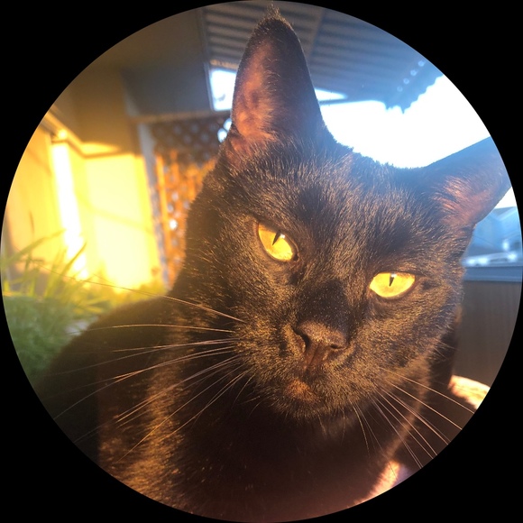Poshmark profile picture for @investigators